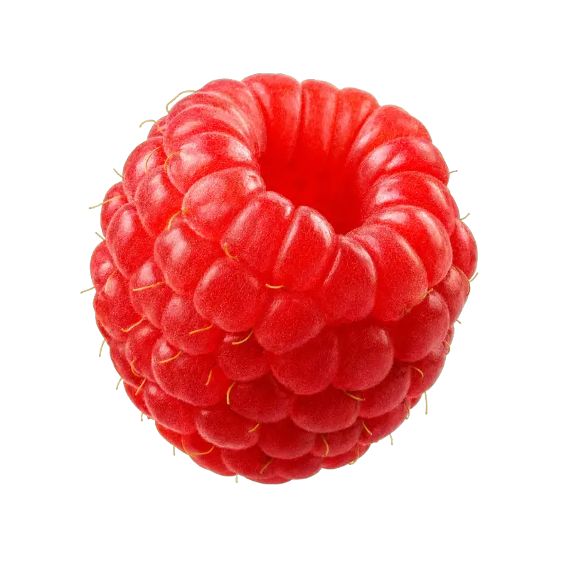 WINDBAR CHROMA WING Raspberry flavor card on a transparent background (WindBar.ai)