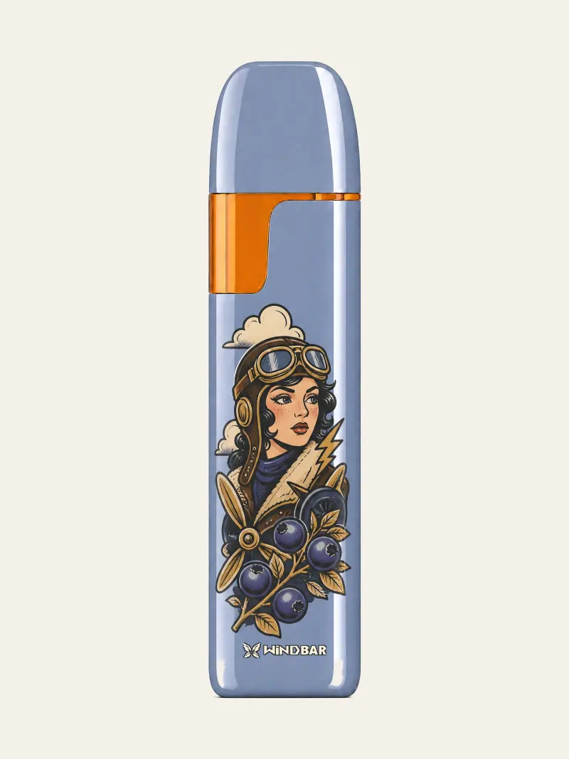 WINDBAR D91 Voyagers in Blue Aura with aviator illustration, front view on off-white