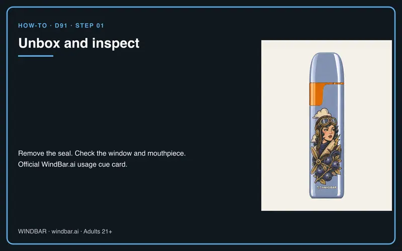 WindBar.ai D91 Voyagers how-to step 01 — Unbox and inspect