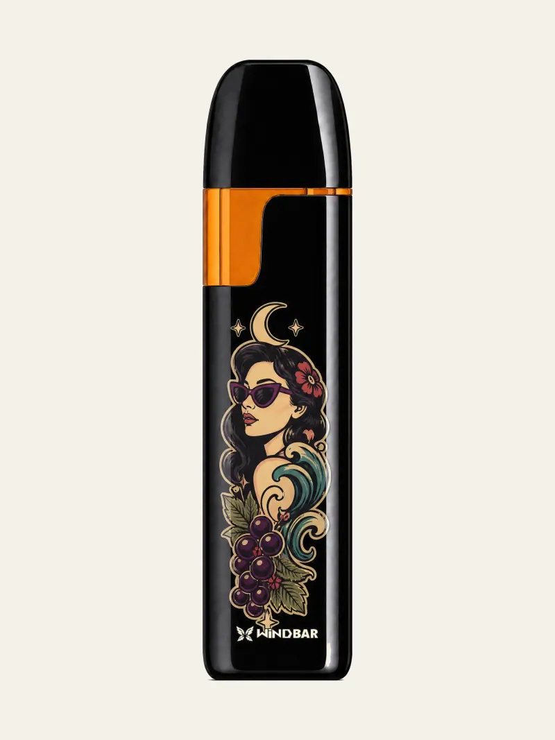 WINDBAR D91 Voyagers in Piano Black with gold portrait illustration, front view