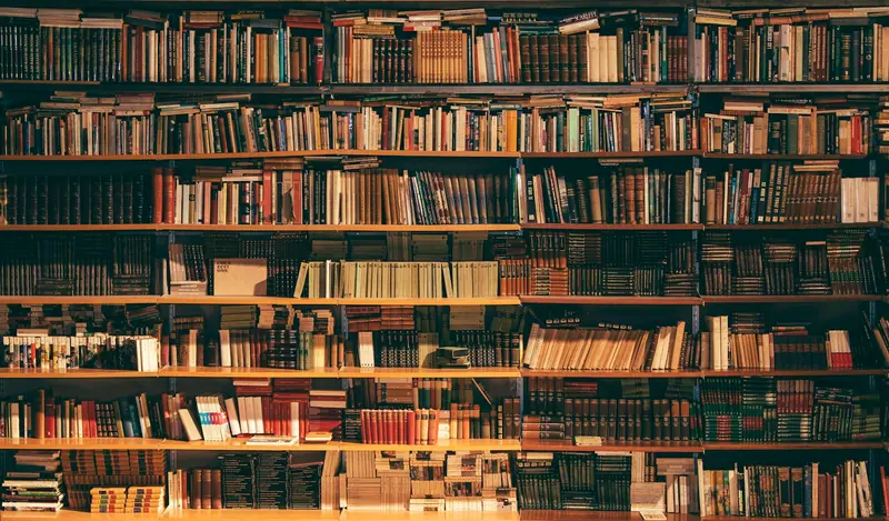 Library bookstore bookshelves (Unsplash stock) — WindBar.ai D91 Voyagers
